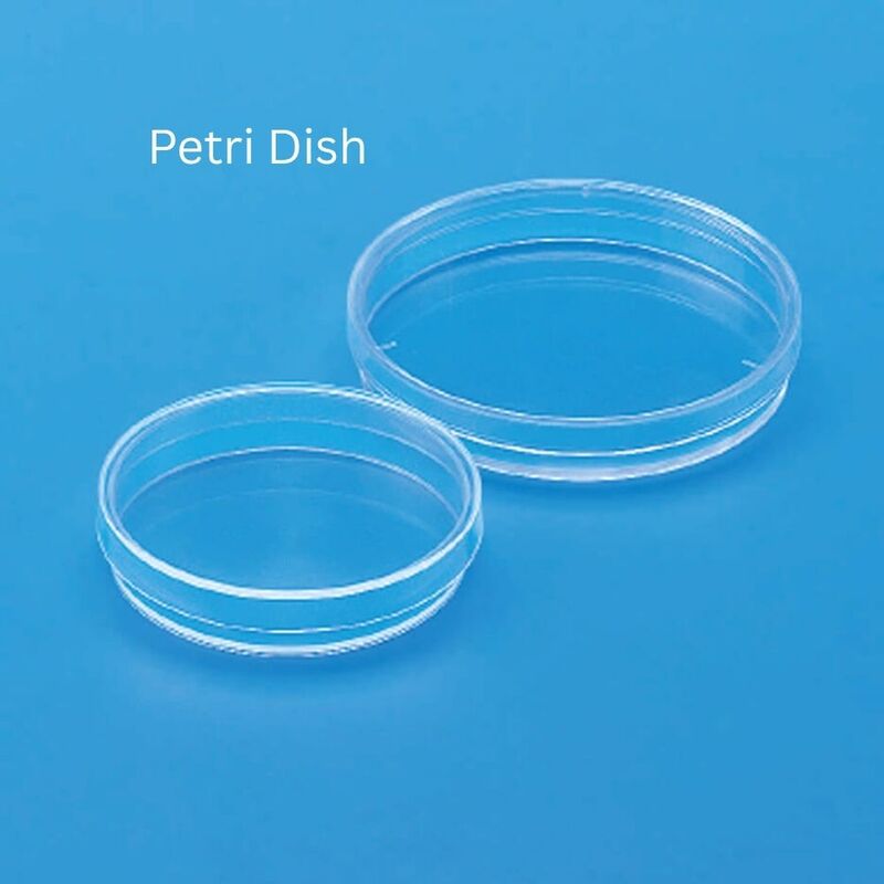Petri Dish - PL