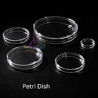 Petri Dish