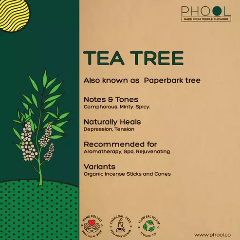 Phool TEA TREE Incense Sticks
