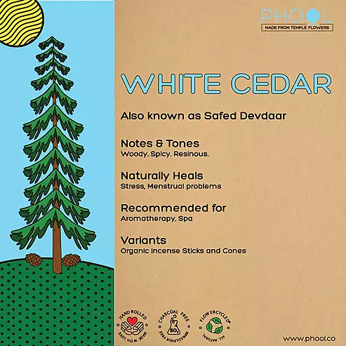 Phool WHITE CEDAR Incense Sticks