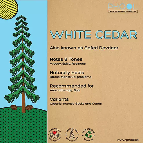 Phool WHITE CEDAR Incense Cones