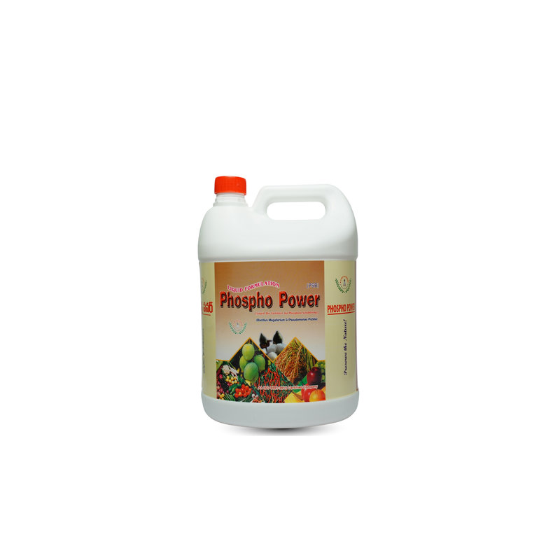 Phospho Power | Best Phosphate Solubilizing Bacteria