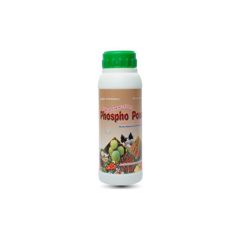 Phospho Power | Best Phosphate Solubilizing Bacteria