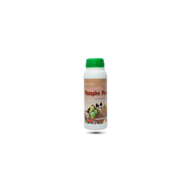 Phospho Power | Best Phosphate Solubilizing Bacteria