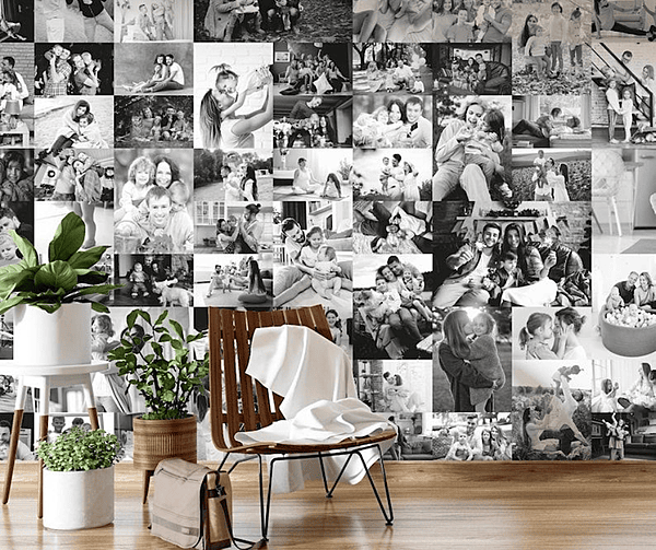 Photo / Family Image Murals