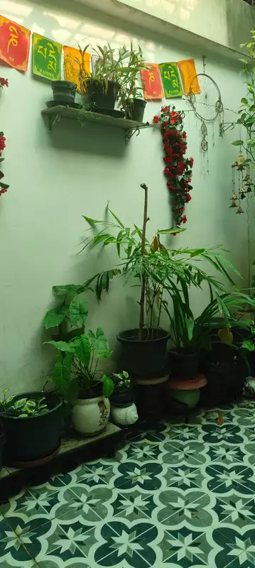 Vichitra Nari Vichitra Naari Near Nanda Hospital Delhi