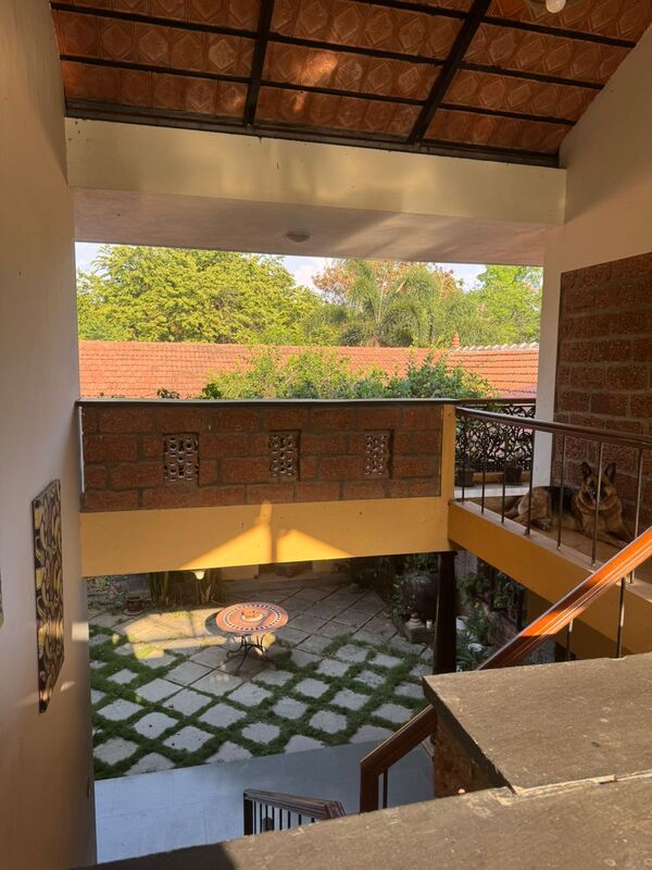 Moonster's Miss Serendipity Home Off Yelahanka Bangalore