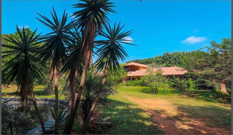 Moonster's Miss Serendipity Home Off Yelahanka Bangalore