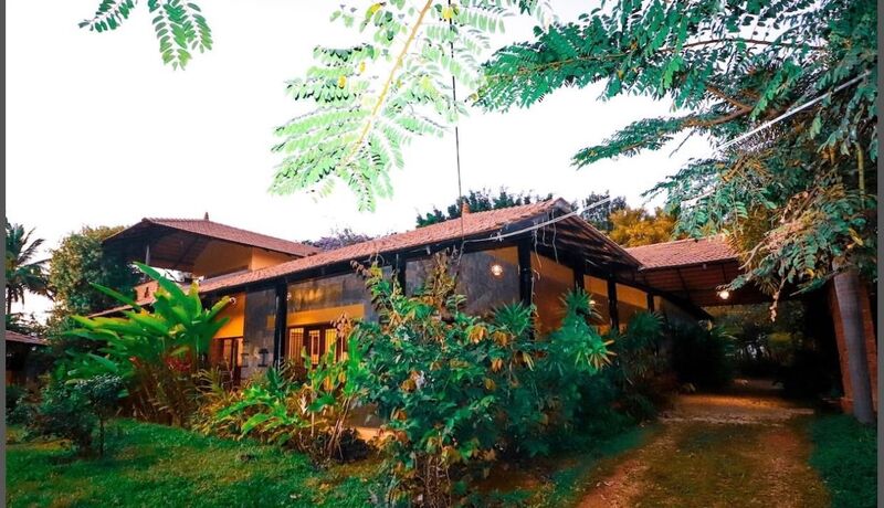 Moonster's Miss Serendipity Home Off Yelahanka Bangalore