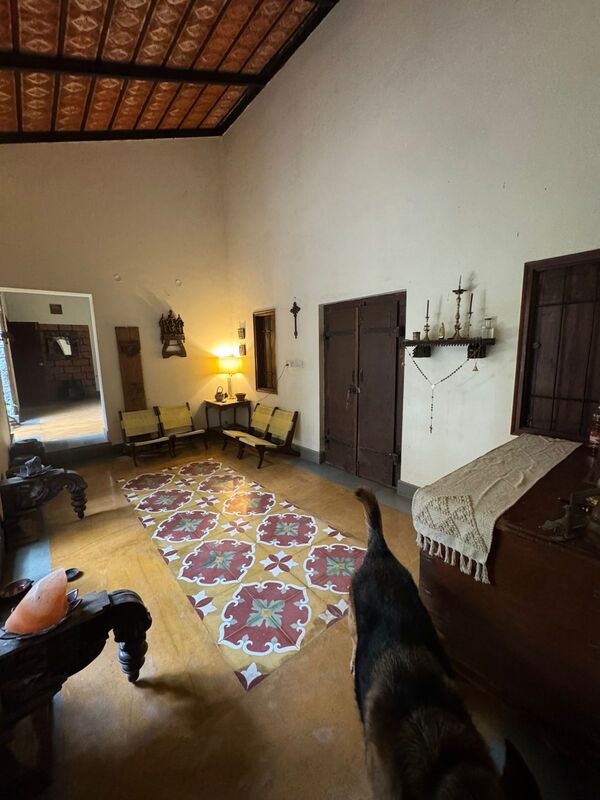 Moonster's Miss Serendipity Home Off Yelahanka Bangalore