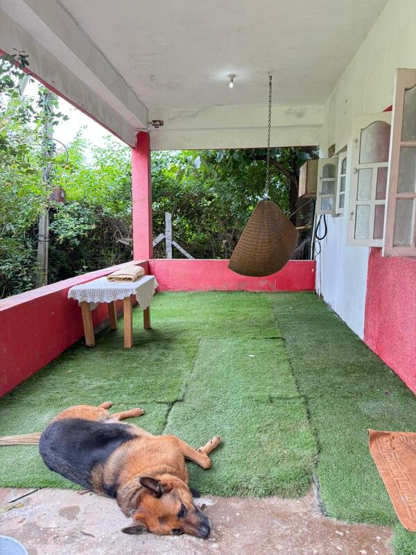 Moonster's Miss Serendipity Cottage Off Yelahanka Bangalore