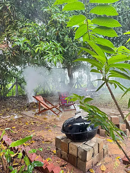 Moonster's Miss Serendipity Cottage Off Yelahanka Bangalore