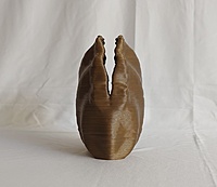 Centennial Mollusk