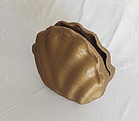 Centennial Mollusk