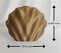 Centennial Mollusk