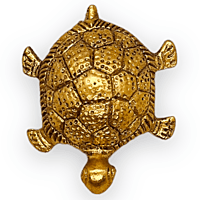 Tortoise With Plate Tortoise With Plate