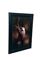 Beautifully photographed  in their natural habitat and elegantly framed Red-Whiskered Bulbul in the wild || wildlife photograhy || Professionally captured photo || bird in a frame || home décor