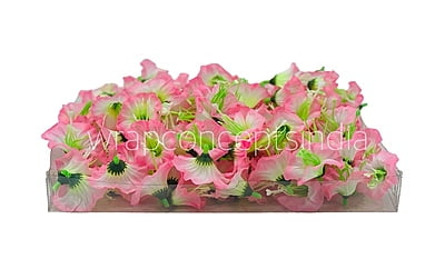 White & Pink Shaded Lily