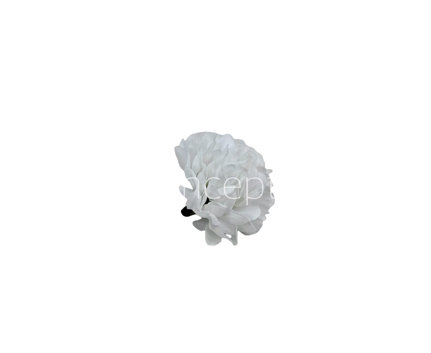 Small Carnation - White