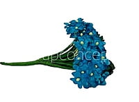 Small Silk Flowers - Blue