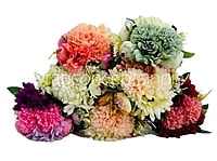 Carnation, Dahlia & Peony Bunch - Multicolour