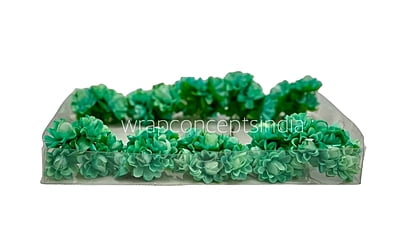 Cyan Aubrieta Flower