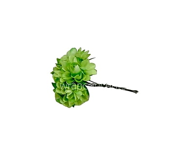 Lime Aubrieta Flower