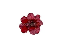 Cherry Red Textured Petunias