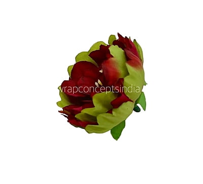 Red Peony Buds