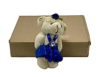 Teddy With Orange Dress & Bow