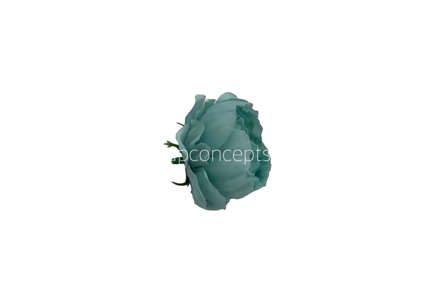 Aqua Blue Peonies