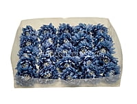 Cobalt Blue Water Lily