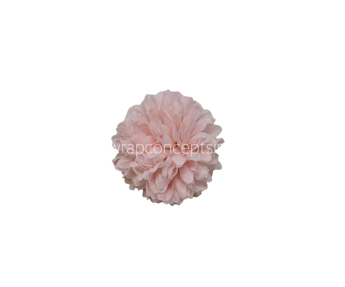 Carnation - Baby Pink