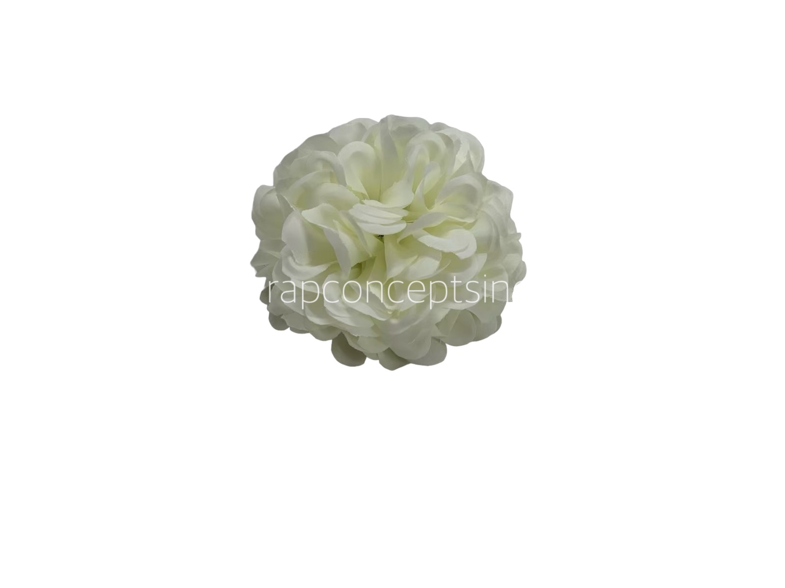 Ivory Carnation
