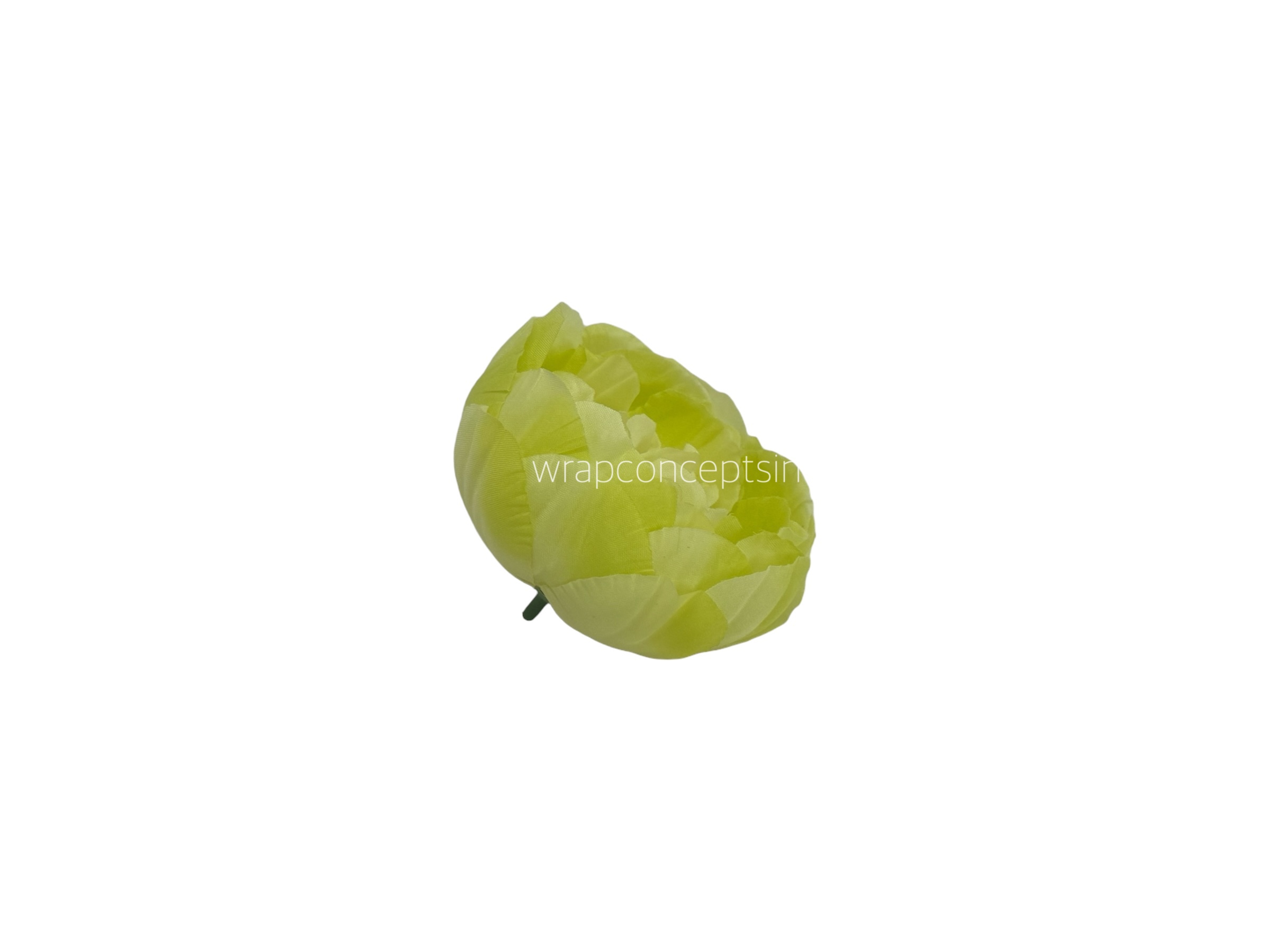 Lime Peony