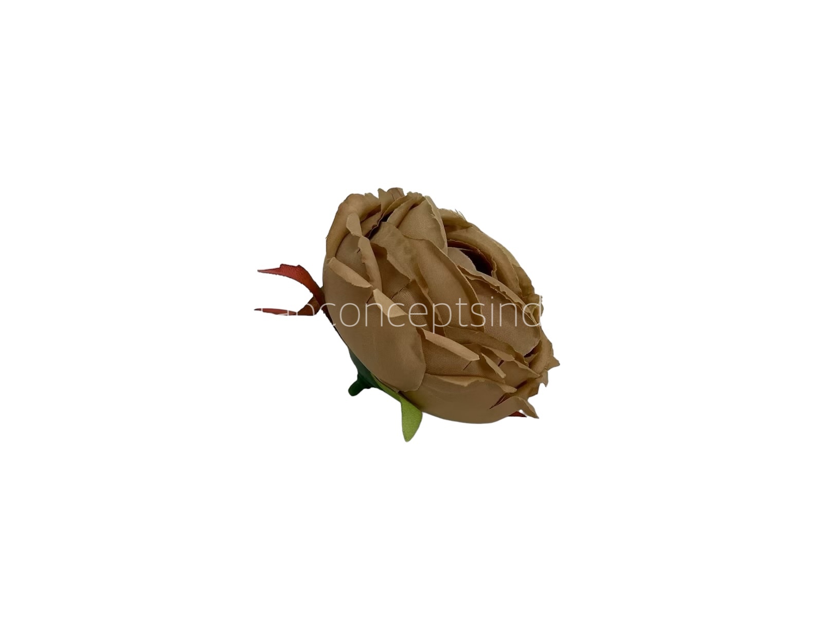 Sepia Peony