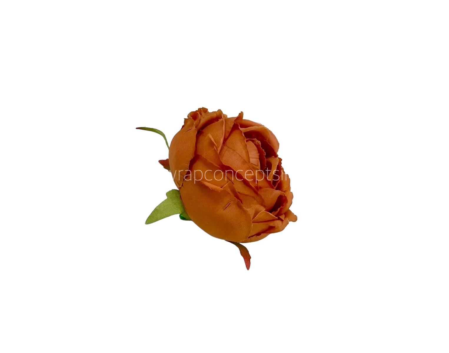 Big Peony - Fuchsia