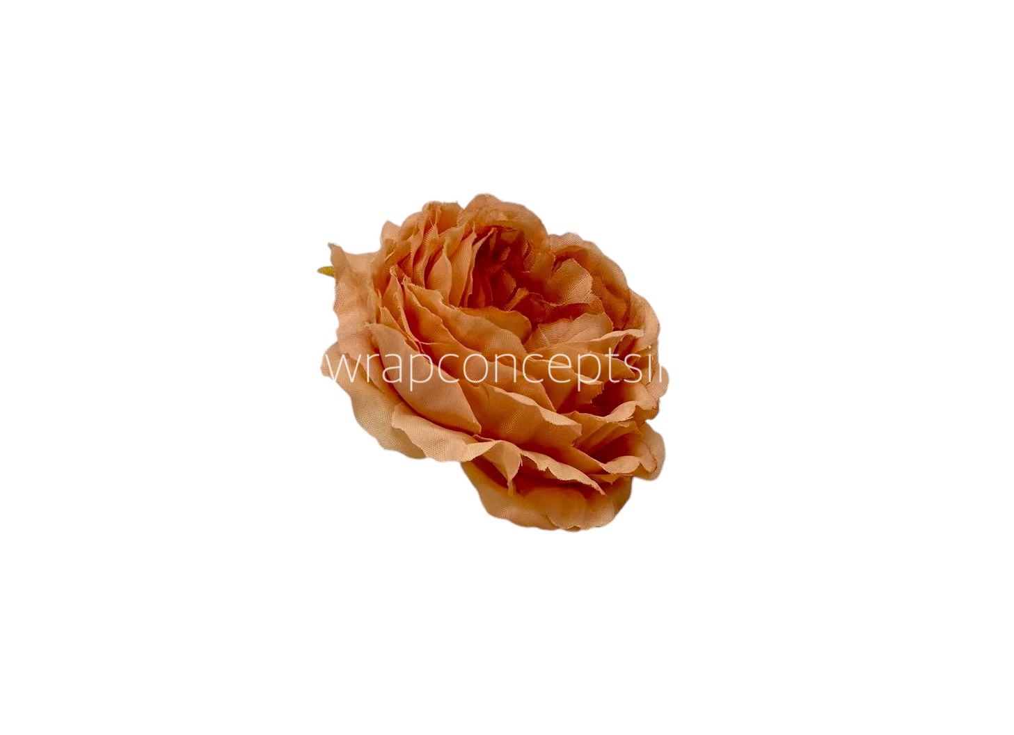 Small Ornate Peony-Blush