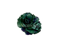 Green with hints of Blue Moutan Peony