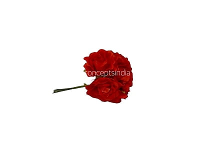 Bright Red Small Roses