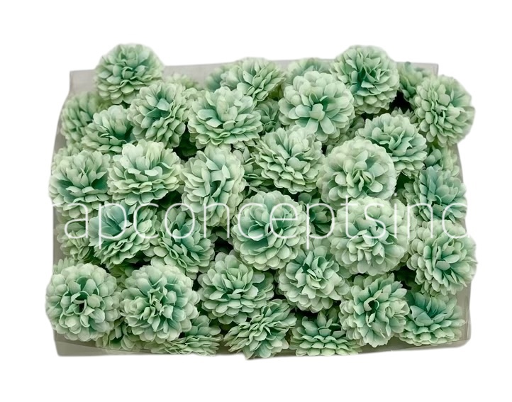 Small Carnation - Pistachio