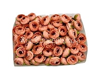 Royal Orange  Peonies