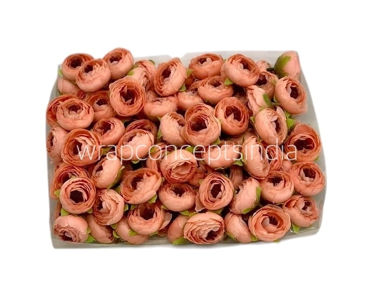 Royal Orange  Peonies