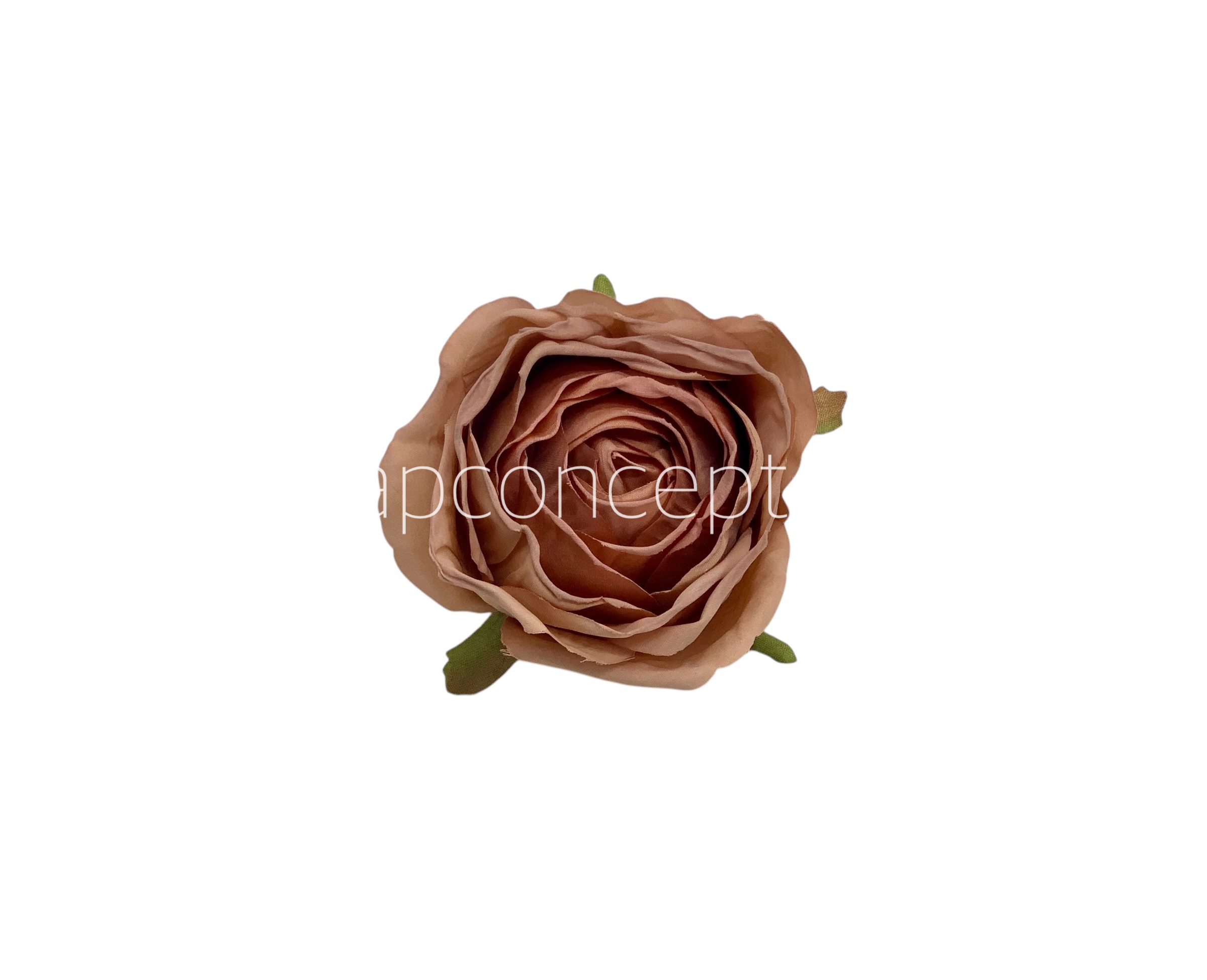 Caramel Roses