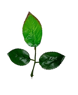 Textured Leaves on Stem Pack - Shaded