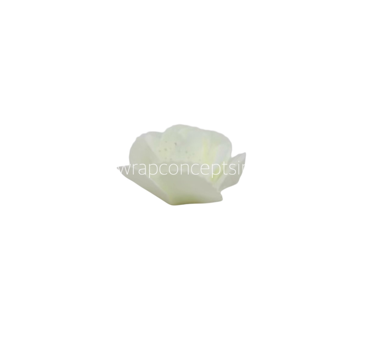 Ivory Medium Foam Rose With Net
