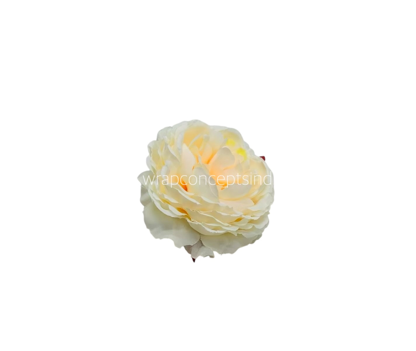 Ornate Peony-Champagne