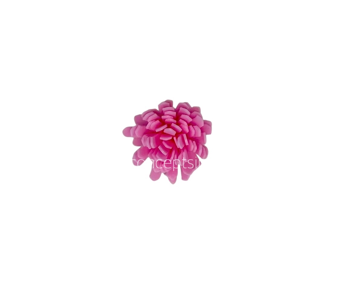 Pink Foam Carnation