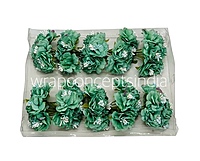 Jungle Green Windflower