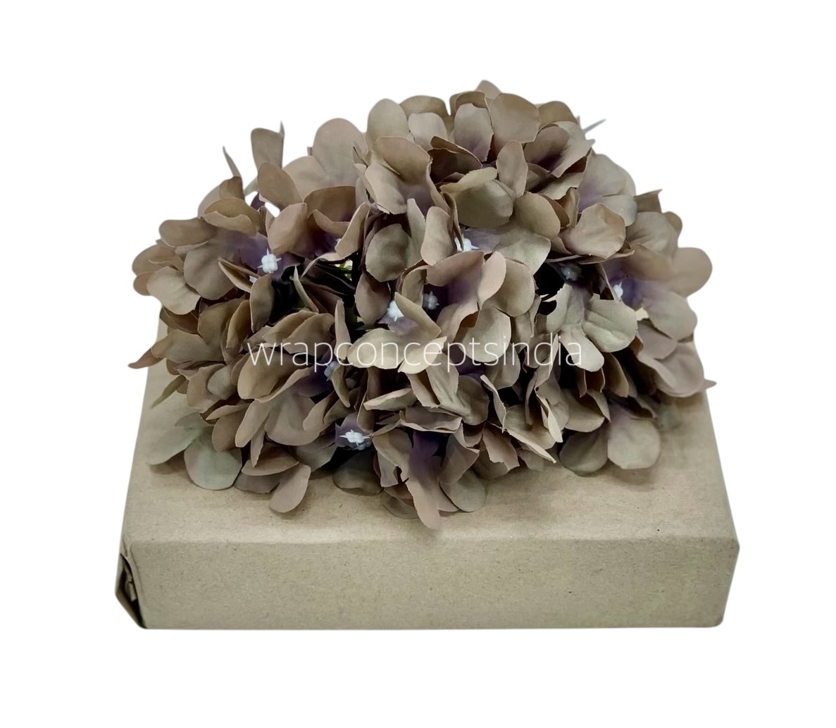 Ash Hydrangeas